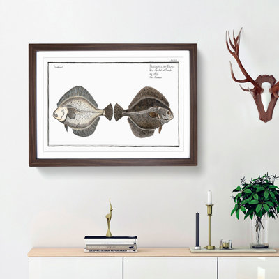 Flounder Fish by M.E. Bloch - Framed Print