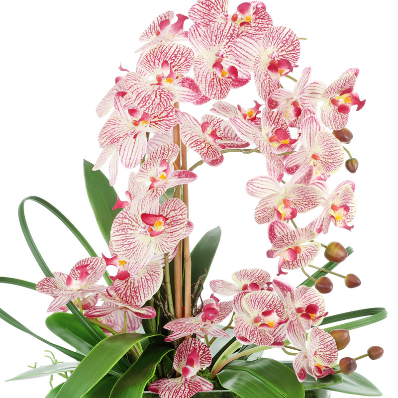 Arrangement floral orchidée dans un vase