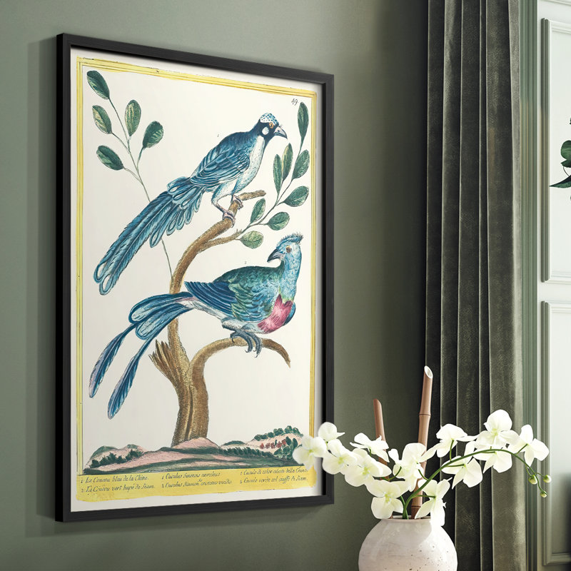 «Pastel Birds VI», reproduction encadrée - bois massif, H 20 po x l 16 po, Noir