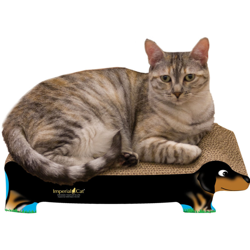 Grattoir petit chien / chat Chou, Teckel noir