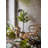 Faux Lemon Tree Resin-711381943