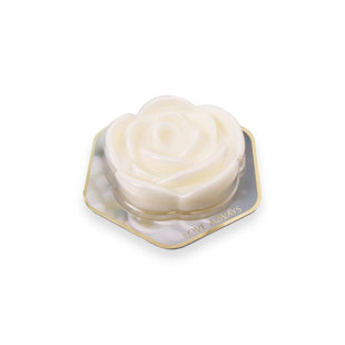 Spring / Summer 2025 Plant / Floral Scented Wax Melt