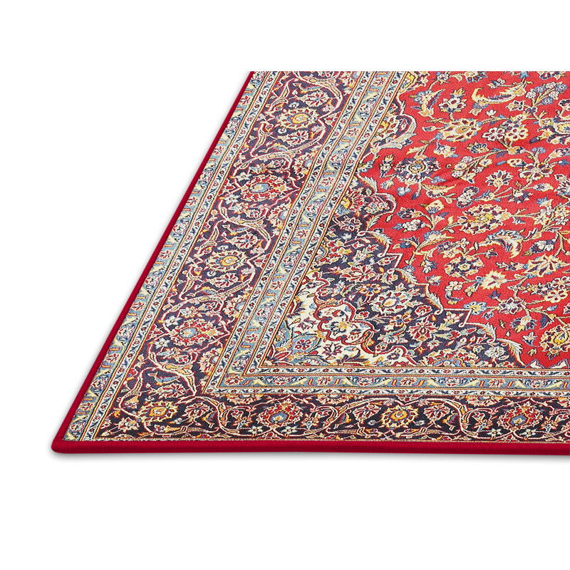 Alexie Oriental Indoor Rug, Rectangle 5' x 7'