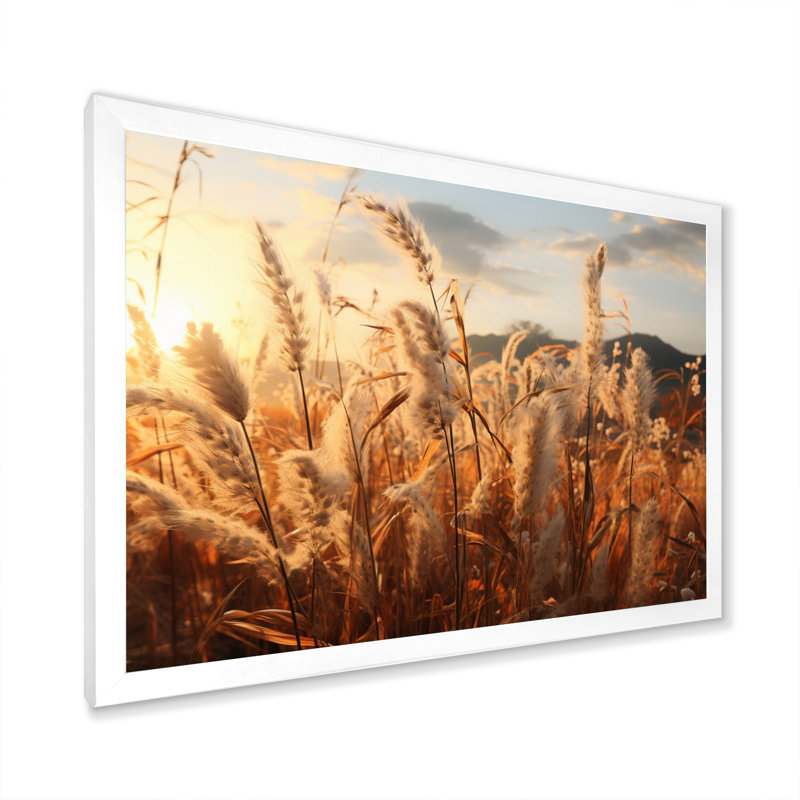 Beige Herbs Field II - Landscapes Canvas Art Print, H 16 po x l 32 po x P 1 po, Cadre photo blanc