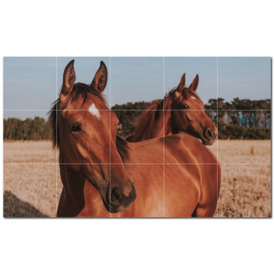 Horse Photo 8'' x 8'' Satin Ceramic Decorative Mural