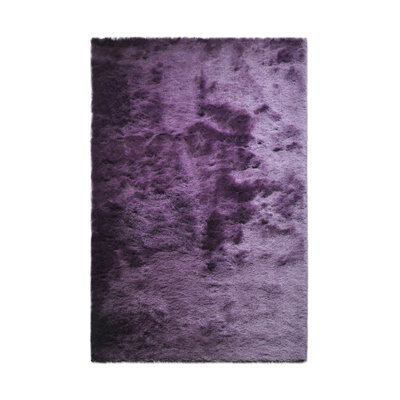 Indoor Rug