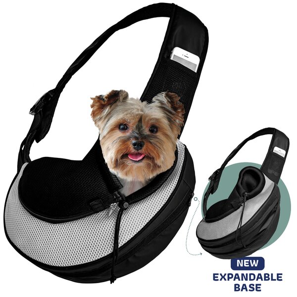 Fashion Designer dog collar handmade adjustable buckle 5/8"