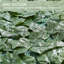 3 ft. H x 10 ft. W Faux Ivy Leaves Polyethylene Privacy Screen