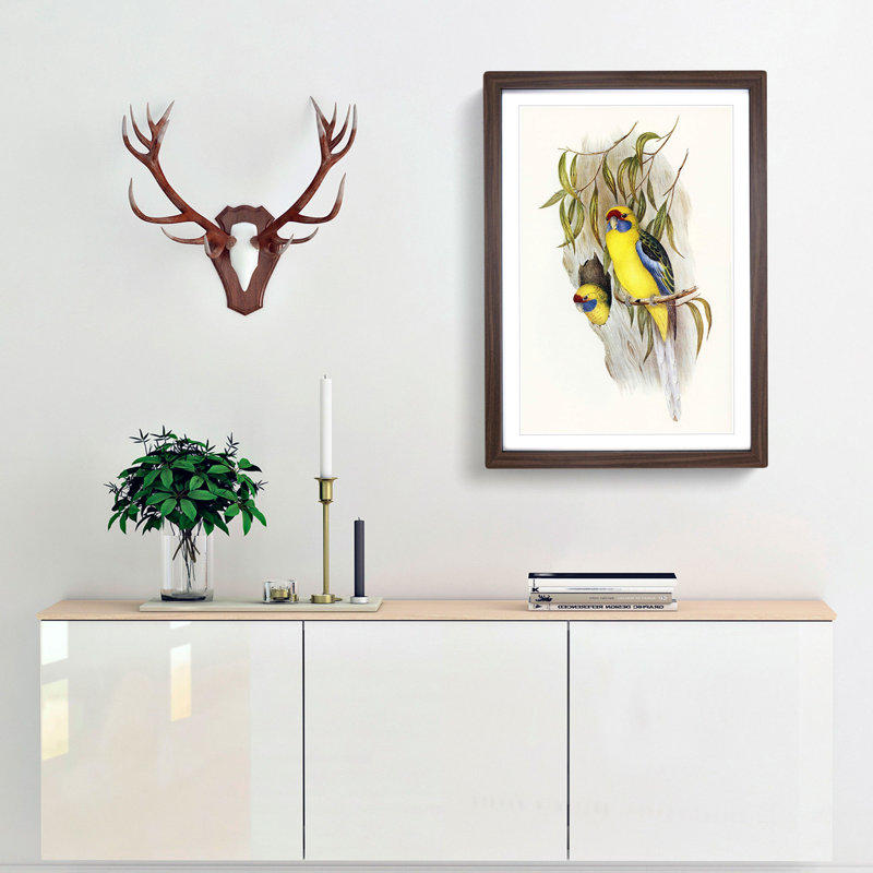 Yellow-Bellied Parakeets by Elizabeth Gould - Picture Frame Art Print, 48cm H x 36cm W x 2cm D, Walnut Framed