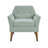 Newtin Mid-Century Modern Accent Chair-126140647