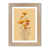 French Oak is out of stock