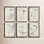 Wild Flower Wall Art