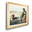 Goosander Duck - reproduction d'art sur toile-363645632-363645635
