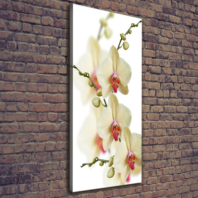 Orchid - Wrapped Canvas Print