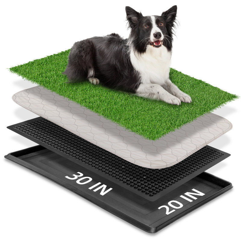 Evrard Polyester Pet Bed