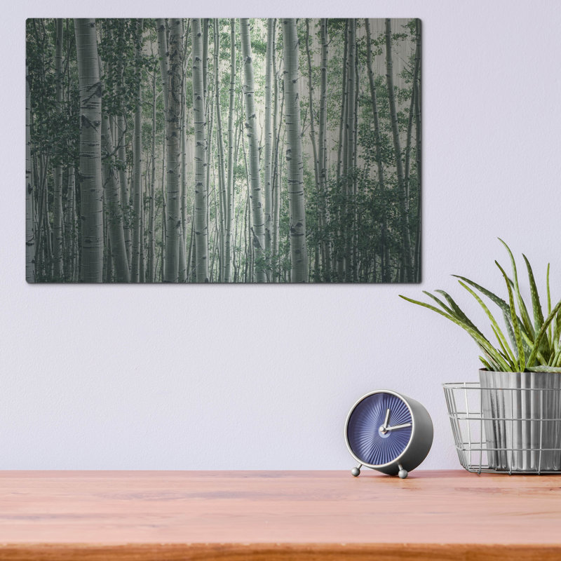 Art mural en métal «Obscured by Alders» par Eunika Rogers, H 12 po x l 16 po
