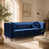Deep Blue Velvet