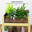 Boîte à fleurs surélevée en bois-278237290
