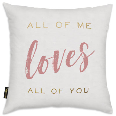 Accent Pillows Throw Pillow
