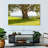 Harnek Real Tree-108731373