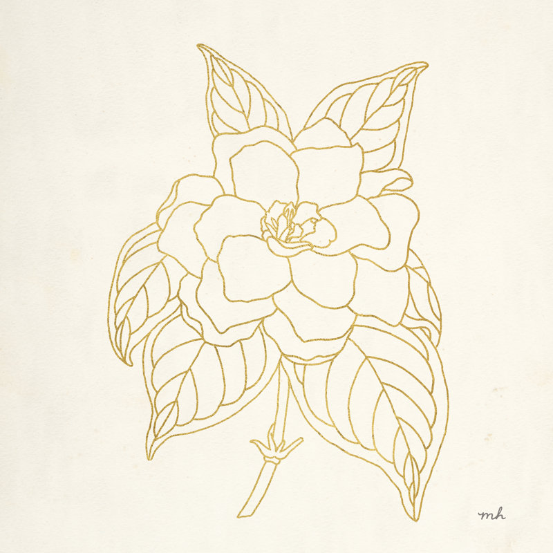 Gold Gardenia Line Drawing Crop by Moira Chocolate - Wrapped Canvas Print, 76cm H x 76cm W