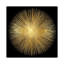 Sunburst by Abby Young - Print on Canvas-1440046392-1366700444-1354508262