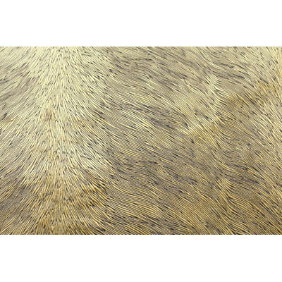 Tissu