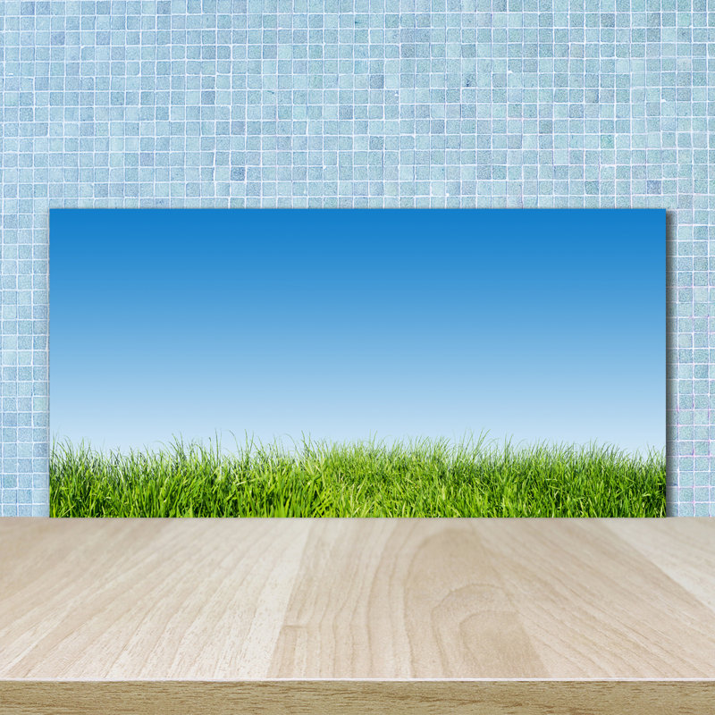 Loehrke 50cm W x 100cm L Glass Peel and Stick Panel