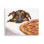 Berger allemand avec plaque murale pizza, design par George Dyachenko