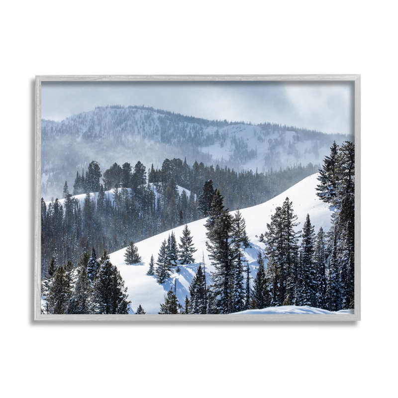 Art texturé giclée sur un sapin éparpillé sur une montagne tranquille, H 11 po x l 14 po x P 1,5 po