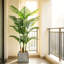 Plantes artificielles réalistes pour la décoration intérieure-1875945606