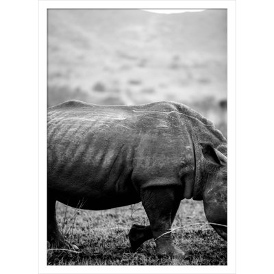 Black Rhino by Shot by Clint Wood Framed Wall Art Print