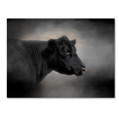 Wrapped Canvas Wall Art - Jai Johnson 'Portrait Of The Black Angus' Wall Art for Living Room, Bedroom, or Office Décor - 35x47