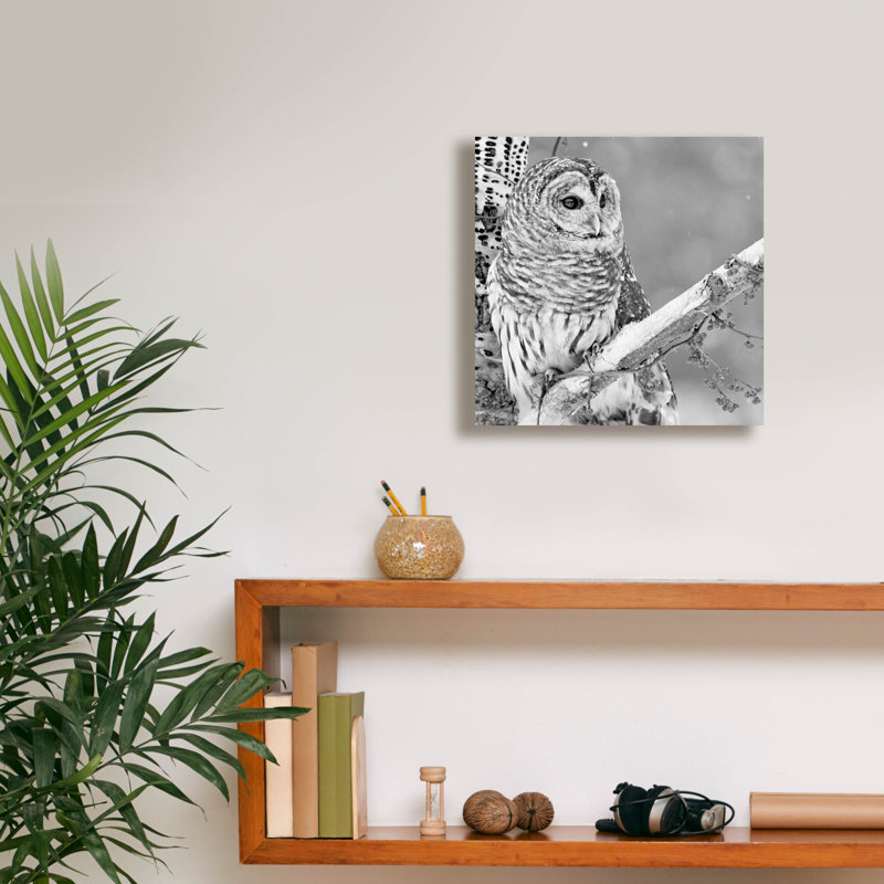 «White Owl» par PhotoINC Studio, H 12 po x l 12 po x P 0,75 po