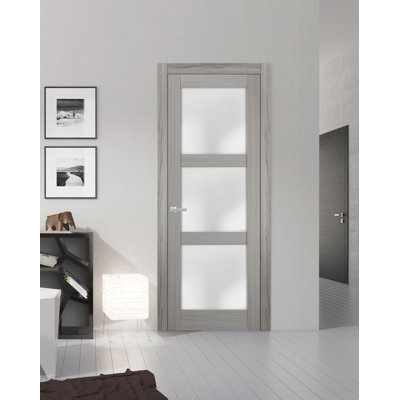 Lucia Frosted Glass Standard Door