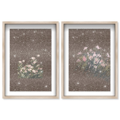 Secret Garden Set Framed Graphic Art