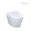AP 1.28 GPF Elongated Floor Mounted Bidet Toilet (Seat Included) with Auto Flush