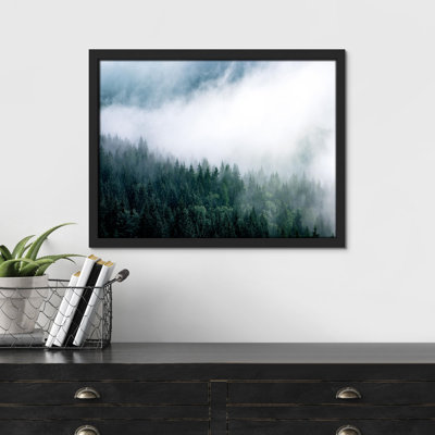 " Aerial View Misty Foggy Cloudy Dark Forest Mountain Floral Botanical "