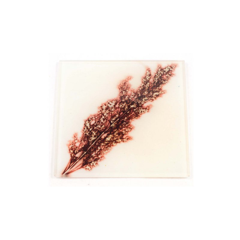 Glass Square 1 Piece Coaster