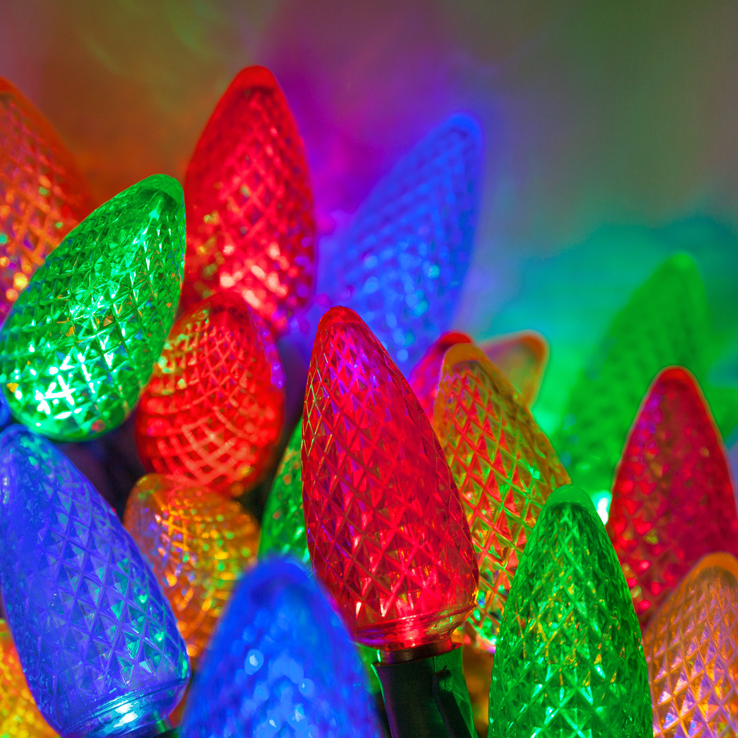 C9 LED Christmas String Lights, Multicolor, 17' L, 25