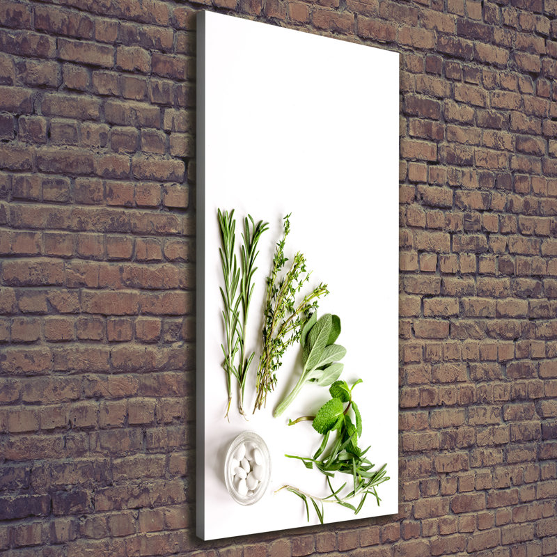 Herbs - Wrapped Canvas Print