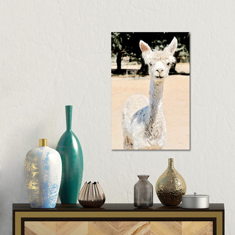 Extra White Alpaca by Susan Vizvary - No Frame Gallery-Wrapped Canvas Giclée on Canvas, 45.72cm H x 30.48cm W