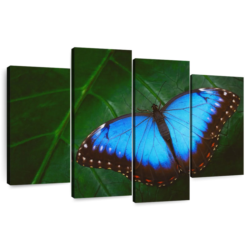 Brampt Pretty Blue Butterfly, 54" H x 84" W
