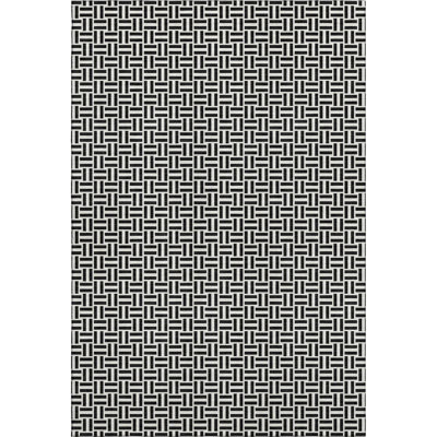 Premium Machine Washable Prisco Black Rug