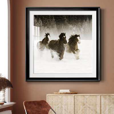 " Winter Roundup II "