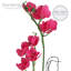 Orchidée artificielle dans un vase-64581344