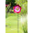 Manos Metal Plants & Flowers Garden Stake