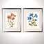 «Botanical I», ensemble de 2 reproductions d'impressions encadrées-28785920