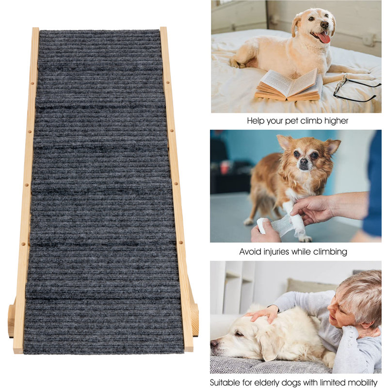 Rampe pour animaux 41,3 po Dibanhi