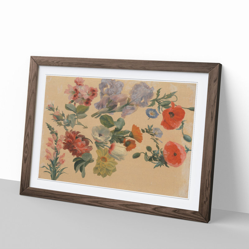 Studies of Flowers Vol.2 by Jacques-Laurent Agasse - Picture Frame Painting, Walnut Framed, 27cm H x 36cm W x 2cm D